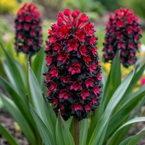 Гиацинт Джем Стоун купить по цене от 2099р. в интернет-магазине «Посадика» с доставкой почтой в в Семилукие и по всей России – [изображение №1].