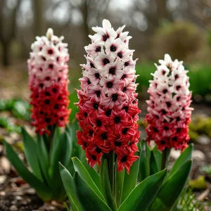 Гиацинт Скай Гарден купить по цене от 2099р. в интернет-магазине «Посадика» с доставкой почтой в в Семилукие и по всей России – [изображение №1].